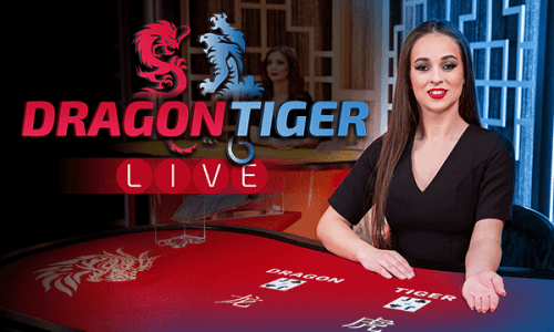 329bet tigrinho bet365 cassino Terminal móvel